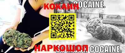 прущие грибы Волгодонск