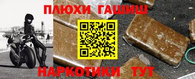 прущие грибы Волгодонск