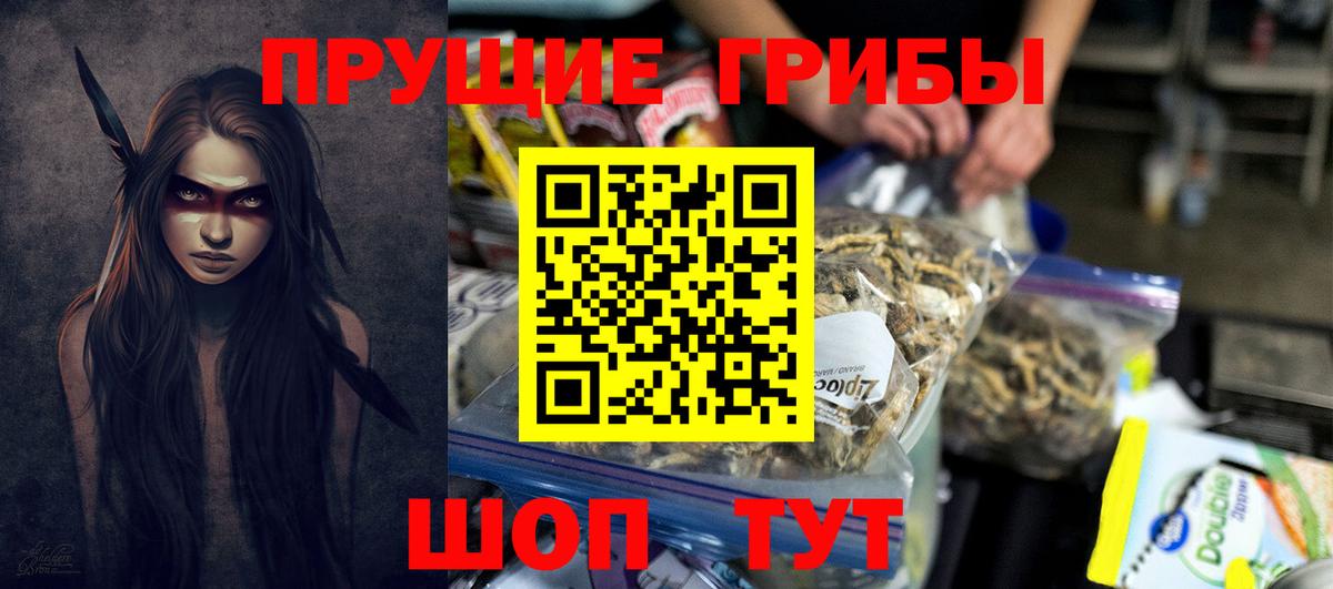 Галлюциногенные грибы Psilocybe  Вход с VPN  Балашиха 